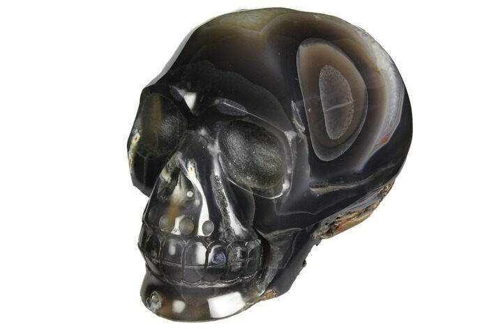 Polished Banded Agate Skull with Quartz Crystal Pocket #148103